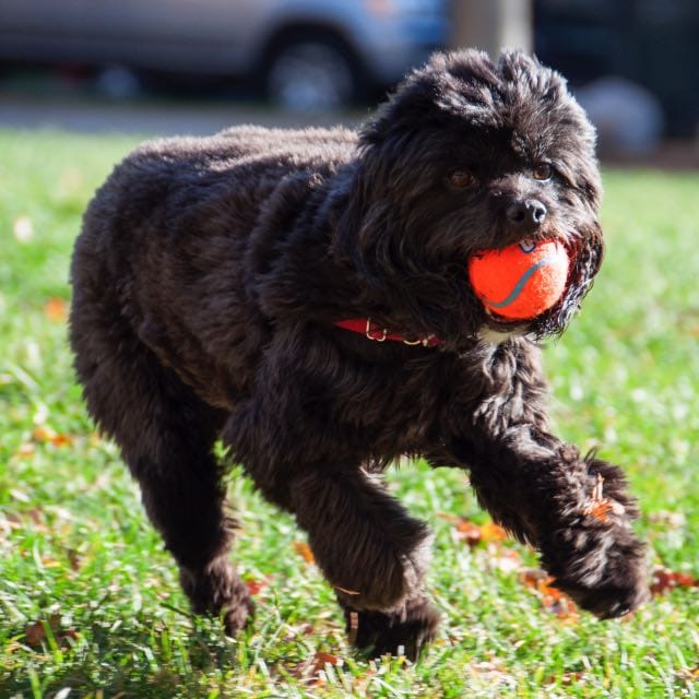 Cara R. Eickholt E.-avatar