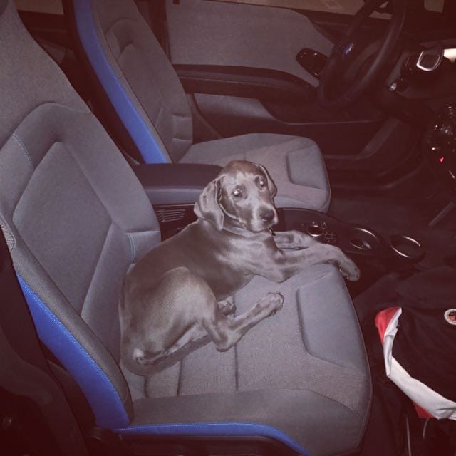 DUPLICATE Salvador B.-avatar