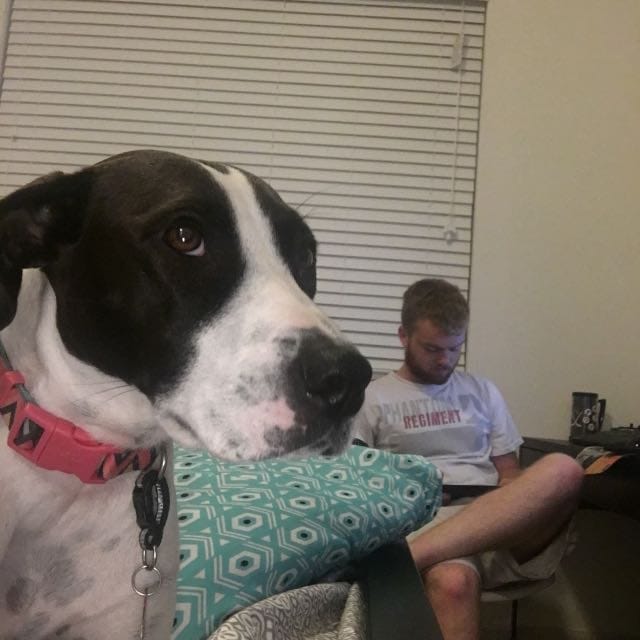 review