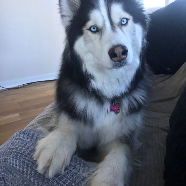 review