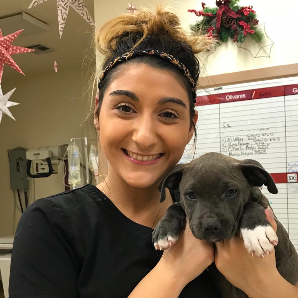 Book Services in Round Rock, TX with Samantha (SAMANTHA80712)