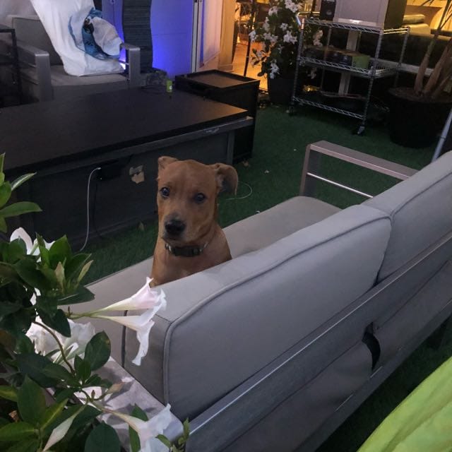 beau N.-avatar