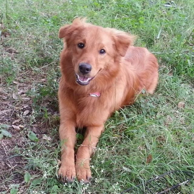 Brittany N.-avatar