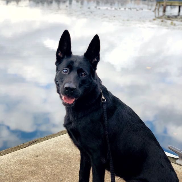 Zoë W.-avatar