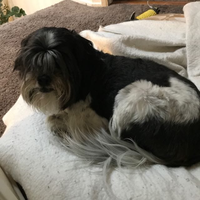 review