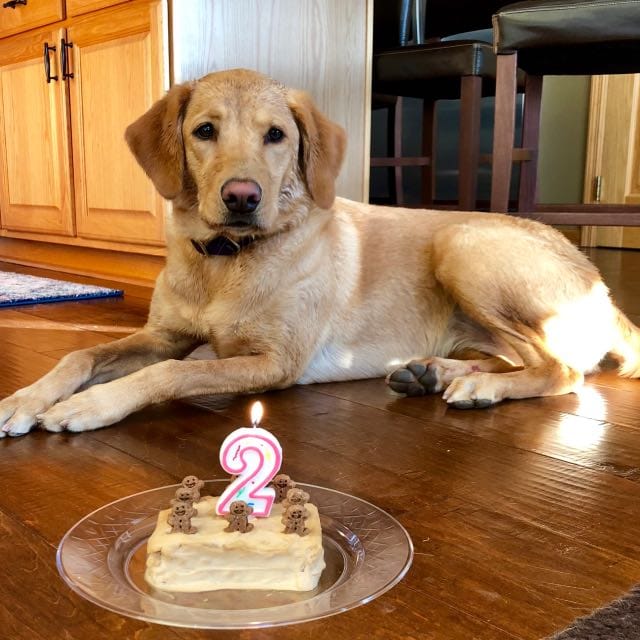 review