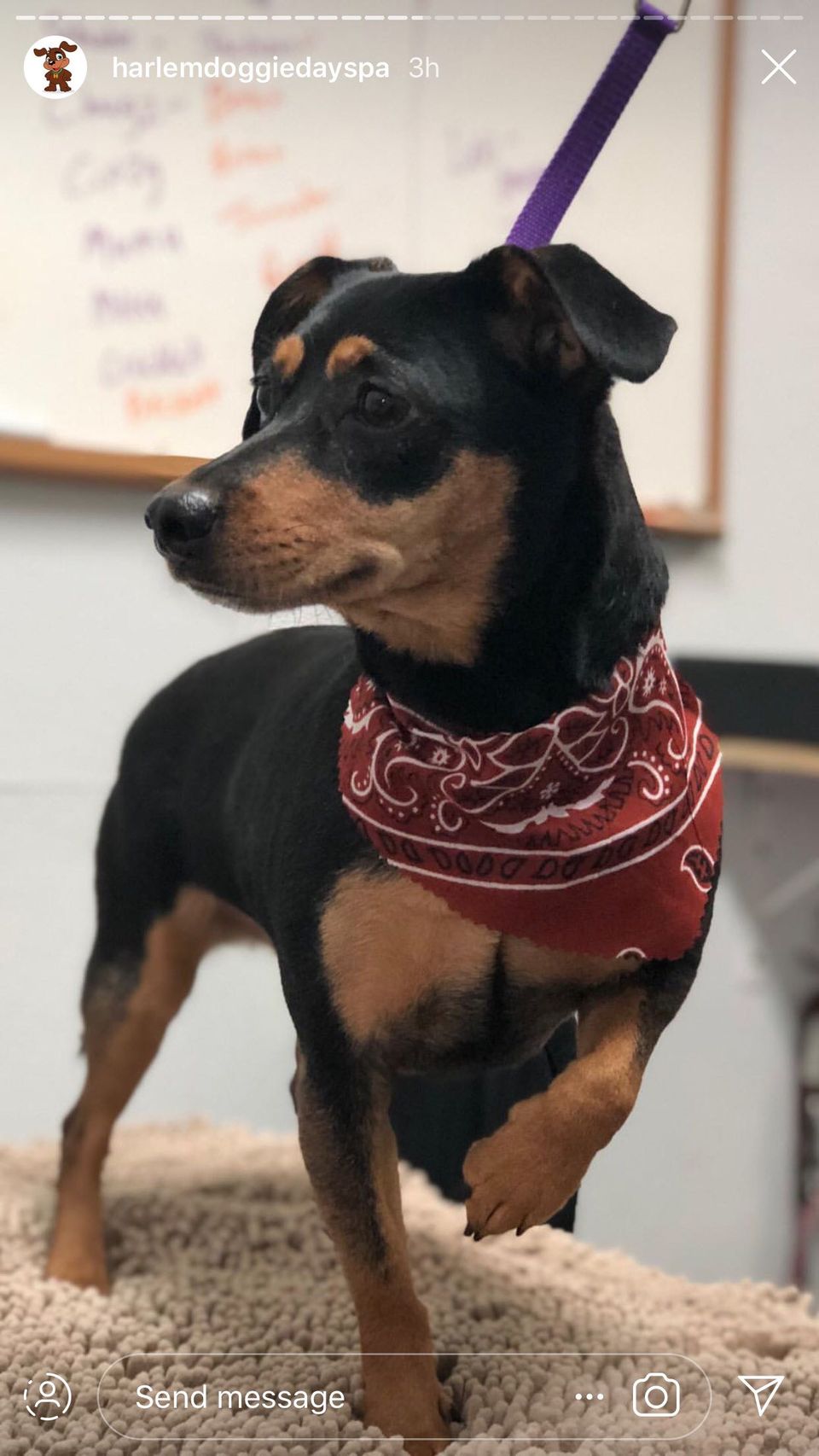 review
