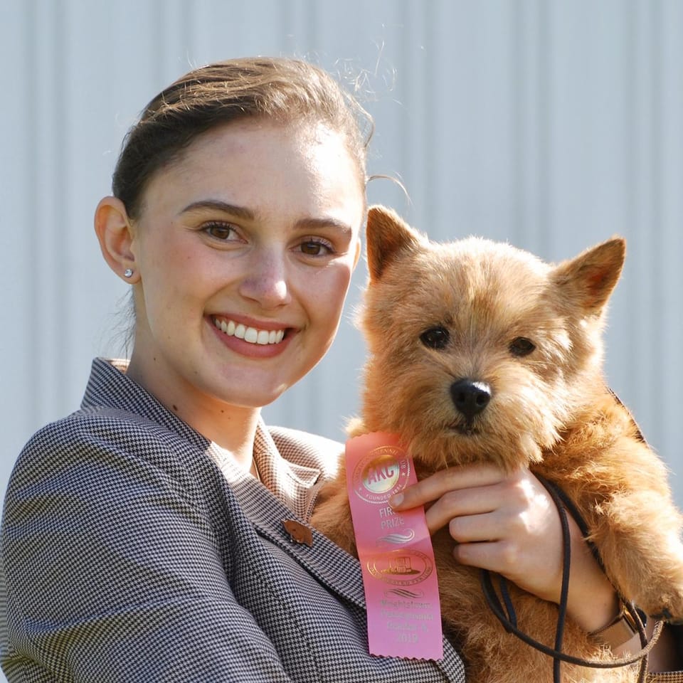 book-services-in-millerton-ny-with-amelia-amelia95884