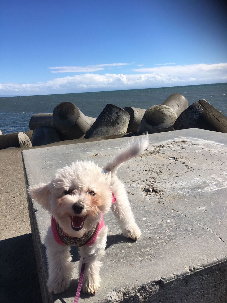 review