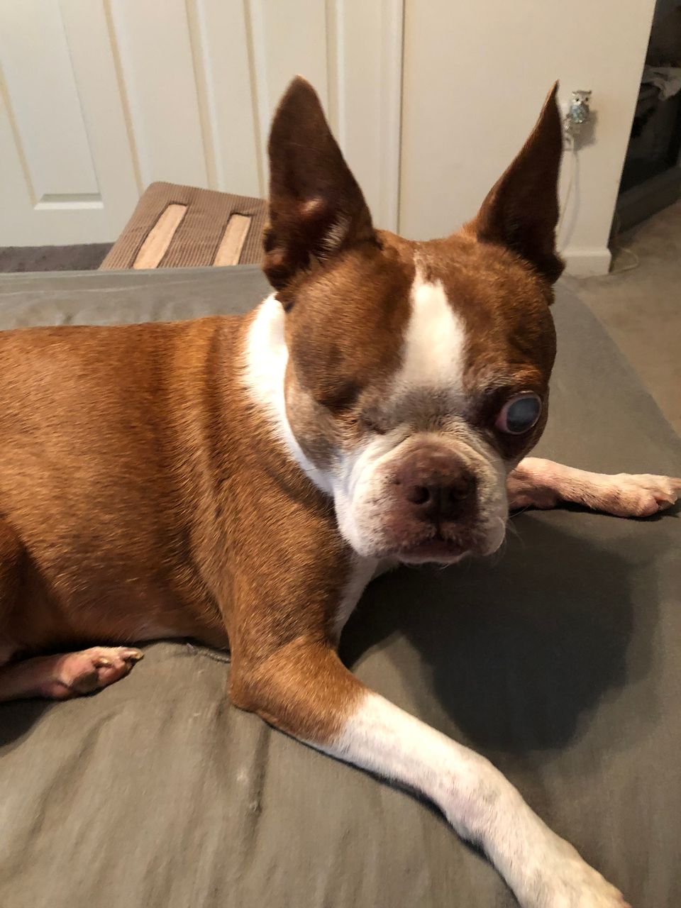 review