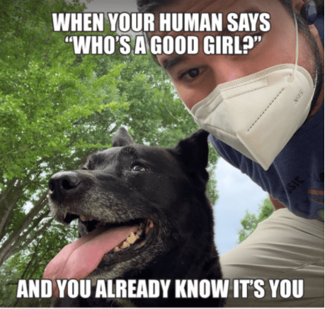 Elizabeth E. J.-avatar