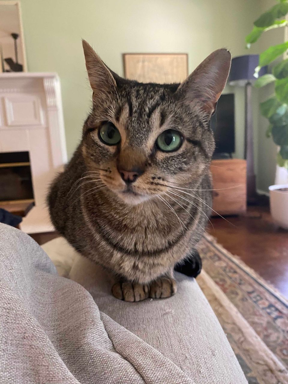 review