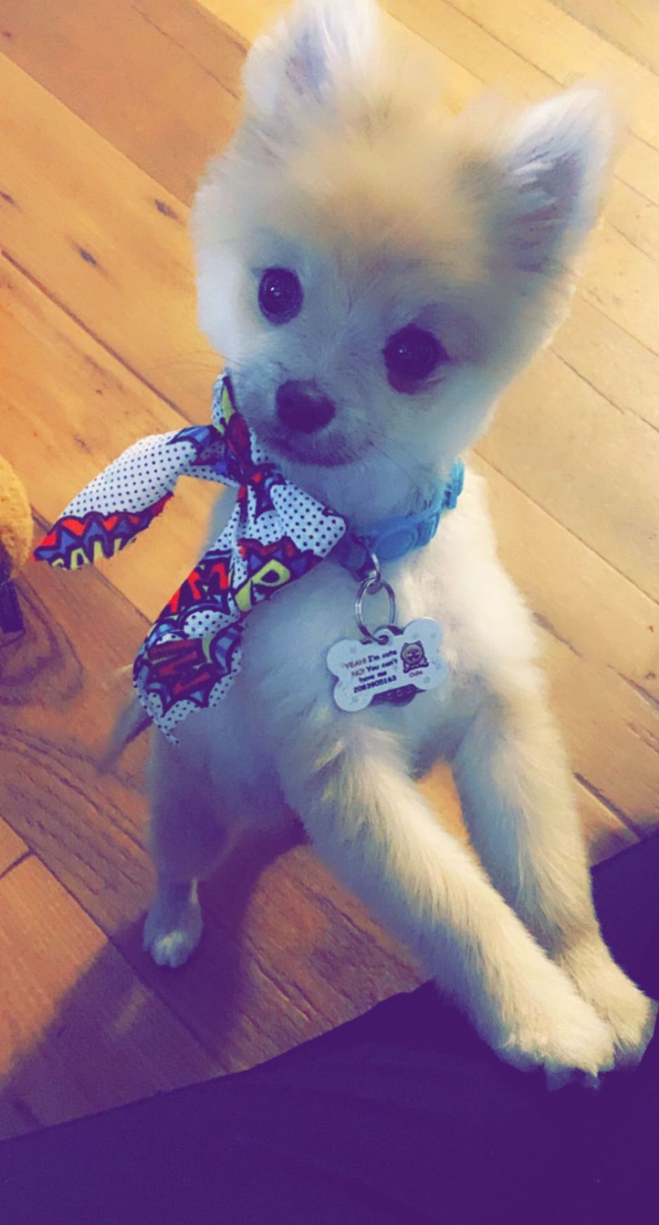 review