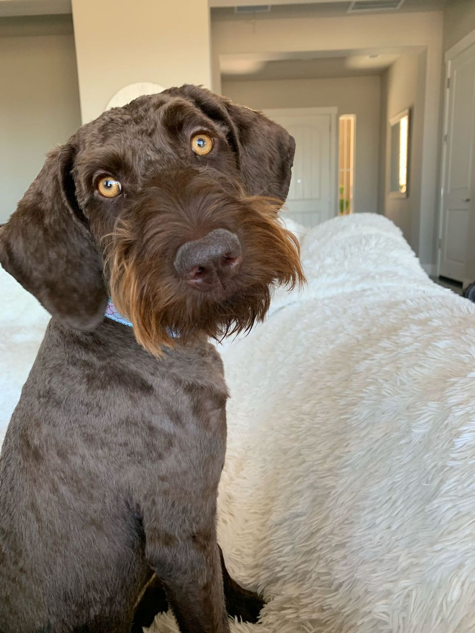 Jacqueline T.-avatar